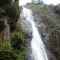 kollam, waterfall, bathing, jungle