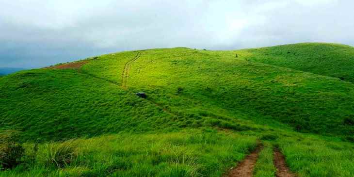 kottayam, grass land,trekking, honeymoon
